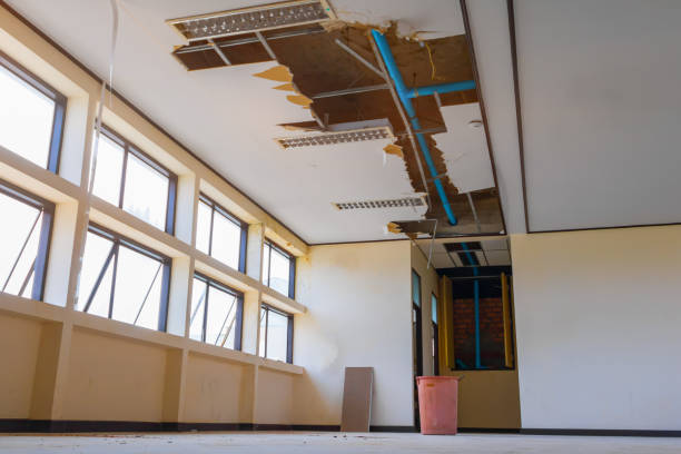 Best 24/7 water damage repair  in Oakdale, PA