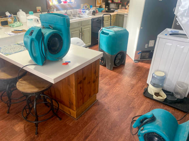 Best Sewage cleanup and water damage restoration  in Oakdale, PA