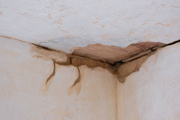 Best Water damage restoration company  in Oakdale, PA