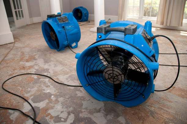 Best Local water damage restoration  in Oakdale, PA