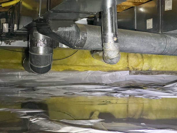 Best Flood damage cleanup  in Oakdale, PA