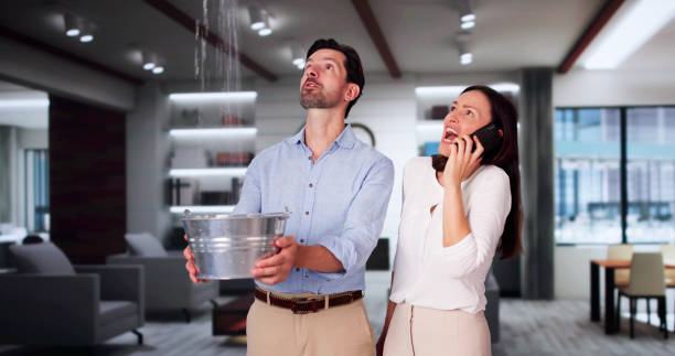 Best 24-hour water damage restoration  in Oakdale, PA