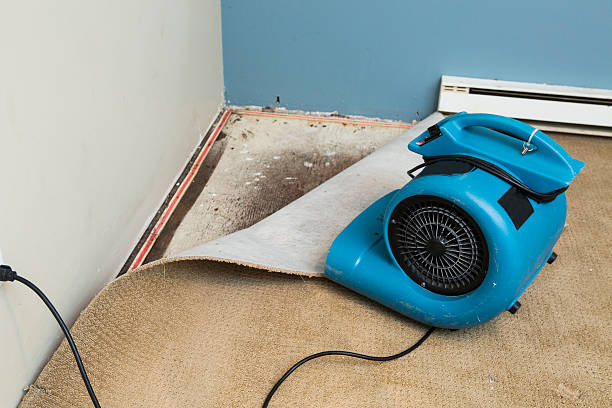 Best Water damage restoration near me  in Oakdale, PA